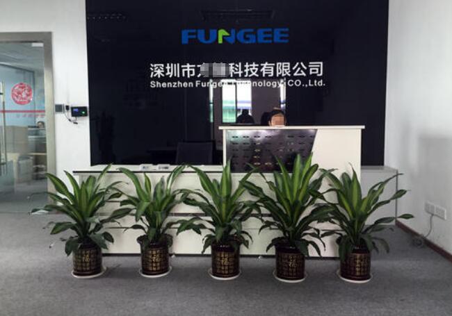 办公室<a href='https://www.laiyongfei.com/zubai/' target='_blank'><u>绿植租摆</u></a>完美攻略