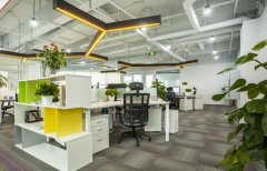 办公室绿植租赁区域方案